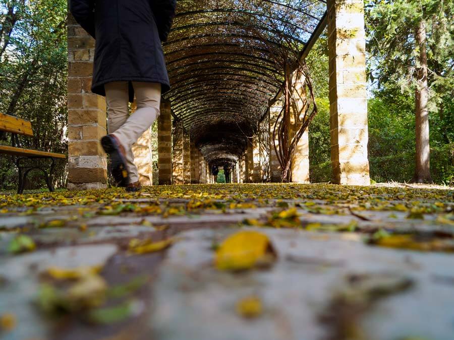 The National Gardens of Athens in October 
