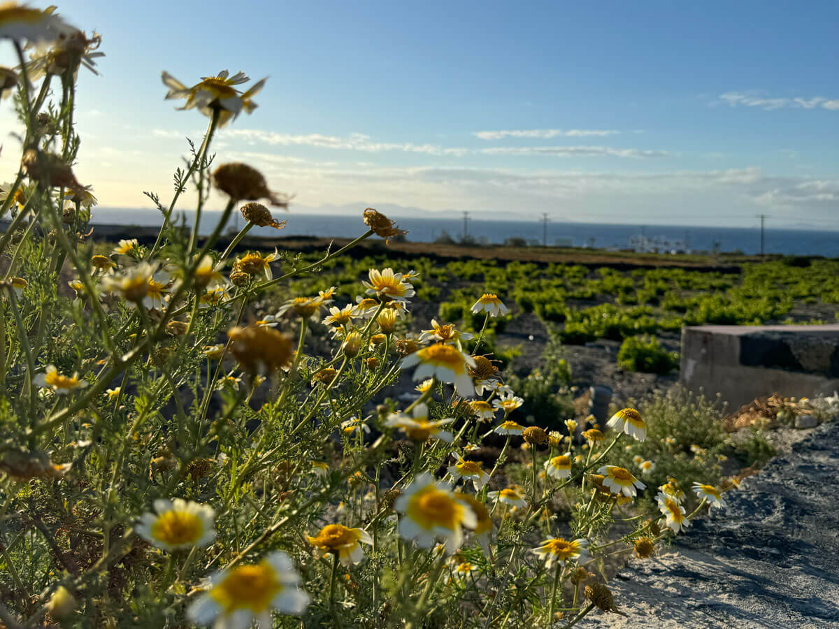 The unique beauty of Santorini