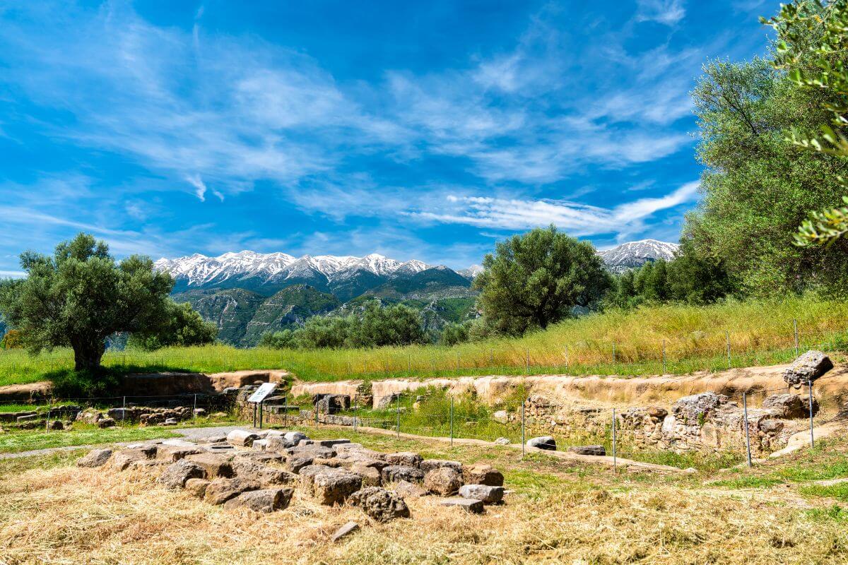 The Acropolis of Ancient Sparta The Odyssey